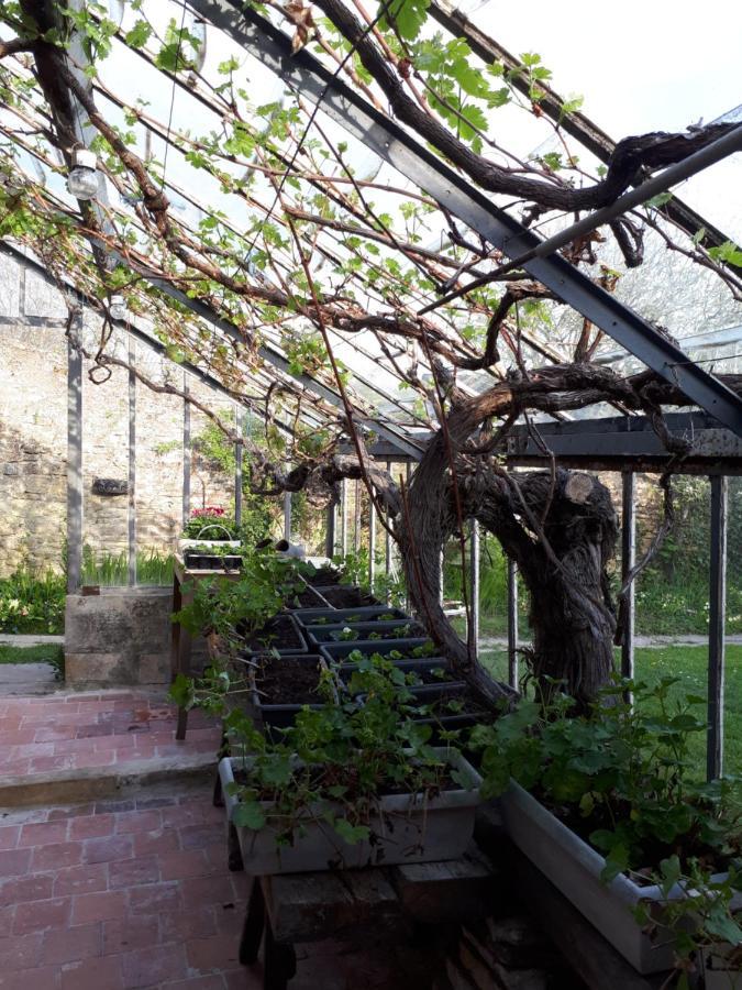 Les Lilas De Bellefontaine Bayeux Kültér fotó