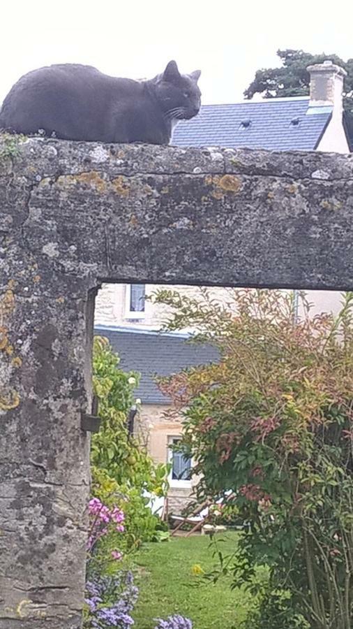 Les Lilas De Bellefontaine Bayeux Kültér fotó
