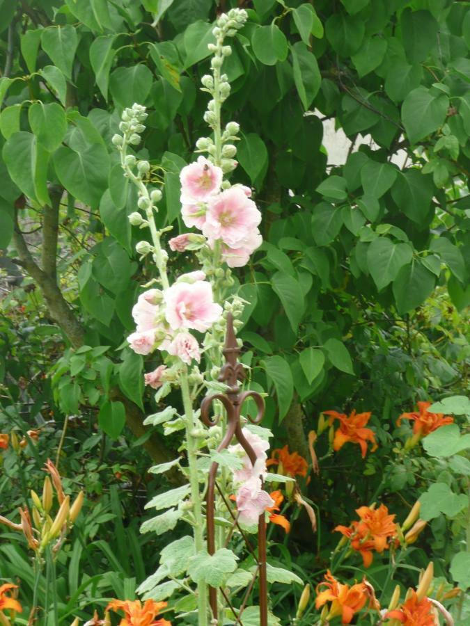 Les Lilas De Bellefontaine Bayeux Kültér fotó